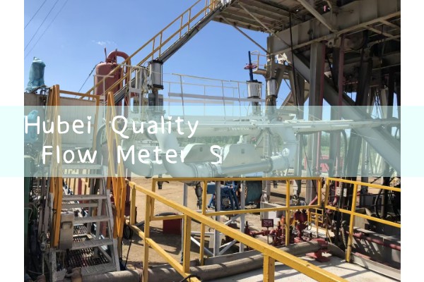 Hubei Quality Flow Meter Selection Manufacturer